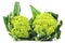Green cauliflower heads