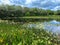 Green Cay Wetlands