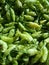 green cayenne peppers sold in the market