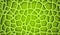 Green cells background