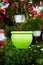 Green ceramic flowerpot hanging in a flower market
