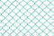 Green chain link fence with white background
