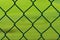 Green Chainlink Fence