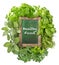 Green chalkboard with fresh herbs. Healthy Food