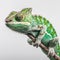 Green chameleon on a branch on white background. Generative AI