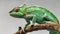 Green chameleon on a branch on white background. Generative AI