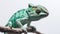 Green chameleon on a branch on white background. Generative AI