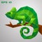 A green chameleon is sitting on a branch and looking. Thoughtful and lazy wild life. Low poly reptile on a white