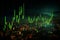 Green chart signifies stock market gains, losses, and future trading trends