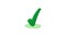 Green check mark icon animation