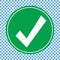 Green checklist icon, chec mark icon vector