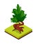Green chestnut tree isometric 3D icon