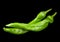 Green chili pepper