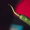 Green Chilli with paper and shadow