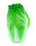 Green chinese cabbage fresh vegetable layer leaves isolated on white background. food salad vegetarian cut out from organic farmin