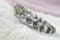 Green Chlorite Natural Lodolite Quartz Crystal Bead Bracelet.