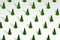 Green Christmas trees on white winter background. Minimalistic trendy pattern. New Year concept for Christmas holidays.