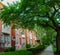 Green City Trees and Brownstone Row Houses in the Summertime Baltimore