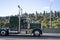 Green classic big rig semi truck profile with high vertical exhaust pipes
