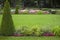 Green clipped manicured lawn with pyramidal bush