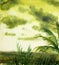 Green cloudy landscape sea and palms watercolor illustration