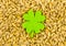 Green clover cloth symbol holiday holy saint patric