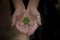 green clover leaf sending to another hand. Blur nature background. Rim light. Little warm tone. Focus on clover leaf