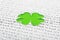 Green clover shape and paper background