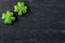 Green Clovers on Chalkboard Background