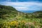 Green coastline of Flores island, Azores, Portugal