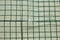 Green Coated Wire Mesh