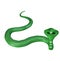 Green cobra snake
