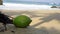 Green coconut in the beach