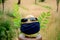 The green coconut beard blue mask with glass and green leaves healthcare medical concept over out of focus green yellow background