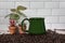 Green coffee ceramic cup small house plants and coffee beans