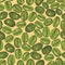 Green coffee seamless beans background.