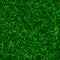 Green color grass vector background. Fresh spring lawn vector illustration.