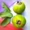 Green color guava with leaves arranged beautifully with color papers on background and good for health and skin and Help Lower