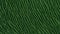 Green color of hairy natural fur pattern texture background. Image photo