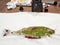 Green colored fish covered fabric on wooden table