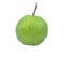 Green colored fresh medium sized guava fruit placed on a white isolated background