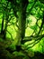 Green colored woodland tree in deep glowing spring forest