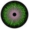 Green colorized eye texture