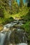 Green Colors and a Stream