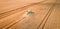 Green combine harvesting field in Poland, aerial view