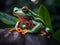 A green common frog sits on a leaf in a wet jungle against a blurred background of plants