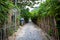 Green concrete walkway with both sides covered with bamboo trees and green leaves