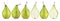 Green conference pears isolated on white background. With clipping path. Collection.