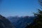 Green conifer with mountain panorama in the background