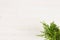 Green conifer plant juniper in pot top view on white wooden board background.